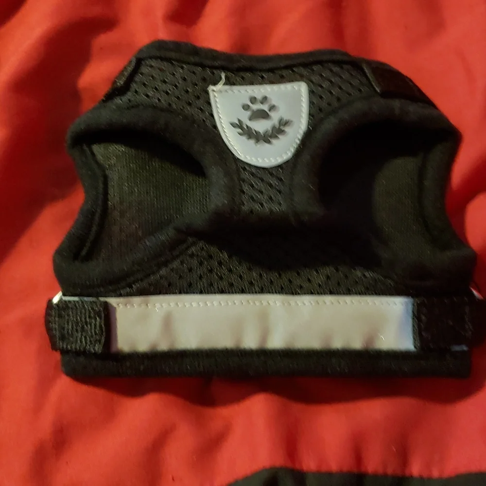 TOULIFLY CAT HARNESS AND LEASH SET